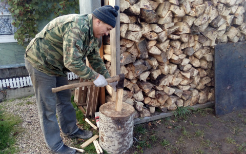 В Мордовии участковый задержал мужчину за незаконную вырубку берез