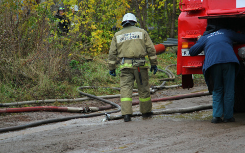 В Мордовии наказывают нарушителей противопожарного режима