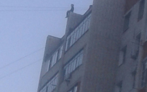 В Мордовии сотрудники МЧС спасли девушку от рокового шага