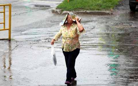 Погода в Саранске 29 мая: возможна гроза
