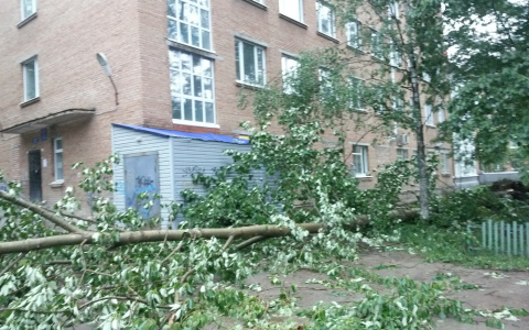 В Москве из-за урагана погибли шесть человек
