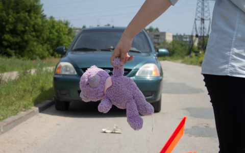 В Мордовии иномарка из Мурманска попала в ДТП: пострадал ребенок