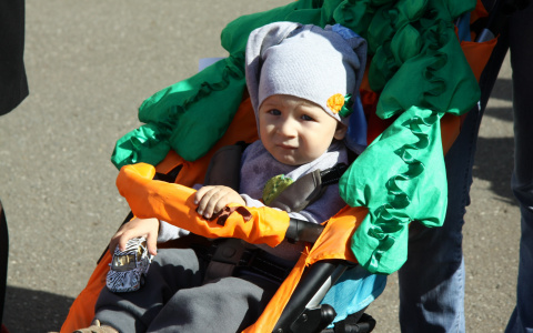 Житель Саранска угнал две детских коляски