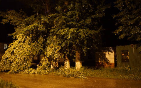 МЧС Мордовии вновь предупреждает об ураганном ветре