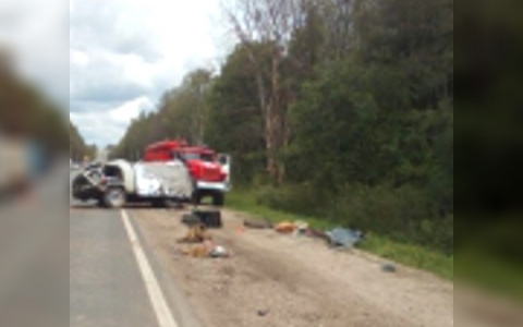 На трассе Нижний Новгород — Саранск перевернулась грузовая «Газель»