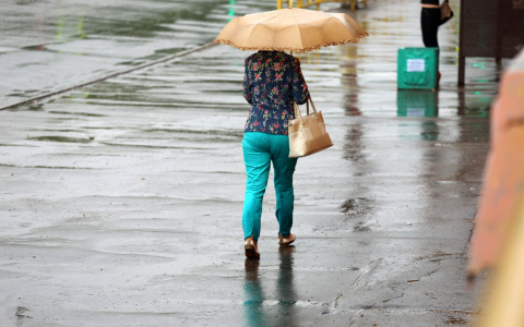 Погода в Саранске пятого июня: ожидается дождь