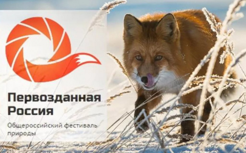 Саранск увидит «Первозданную Россию»