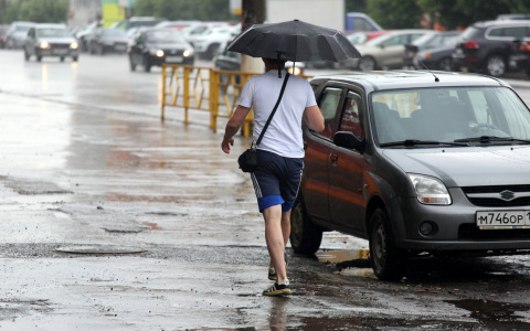 Погода в Саранске 7 июня: возможен небольшой дождь