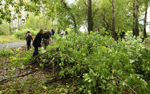 Сотрудники Администрации Саранска выйдут на экологический субботник