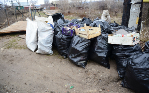 Правительство поддержало идею разрешить россиянам продавать мусор