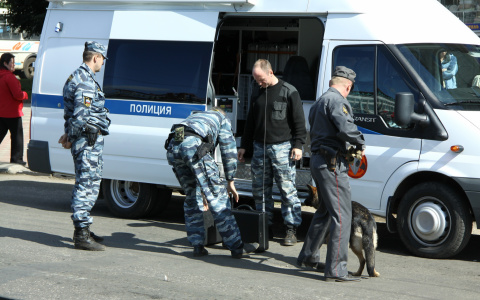 В Мордовии обнаружено 48 нелегалов