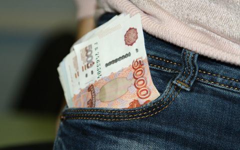 Житель Мордовии похитил деньги у престарелой матери