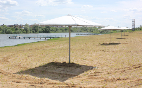 Пьяная жительница Мордовии решила устроить заплыв в холодном Луховском пруду, но у нее не хватило сил