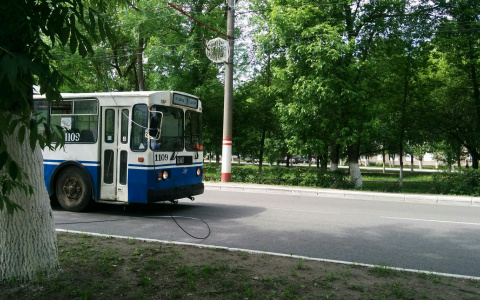 В Саранске из-за обрыва проводов пострадали пассажиры троллейбуса