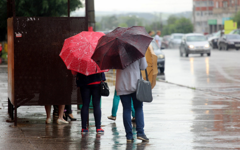 Погода в Саранске 16 июня: будет дождь