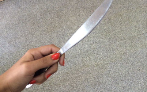 Жительница Мордовии в ответ на оскорбления нанесла собутыльнику удары ножом