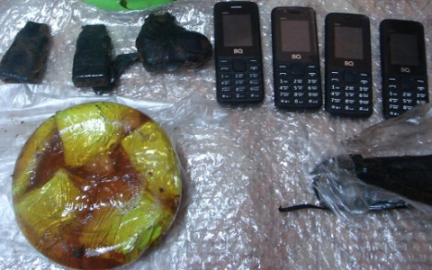 В мордовскую колонию пытались передать четыре телефона и семь зарядников в банке с медом