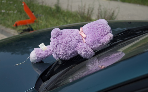 В Мордовии пьяный водитель на «Рено» сбил пятиклассника и скрылся с места ДТП