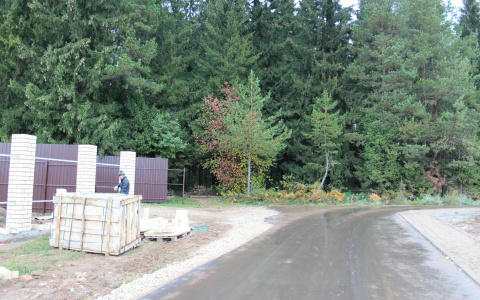 В Мордовии прокуратура «разобралась» с организацией, которая отгородила почти 800 гектаров леса