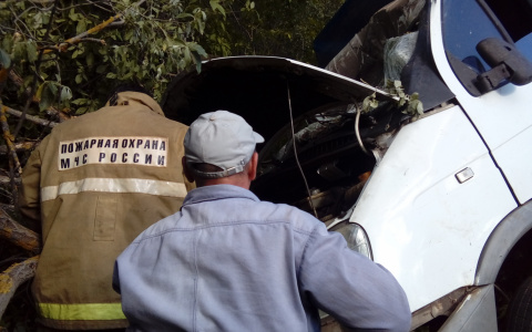 Сотрудник МЧС Мордовии спас человека, пострадавшего в аварии на трассе