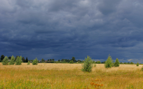 МЧС Мордовии предупреждает о сильном ветре и грозе