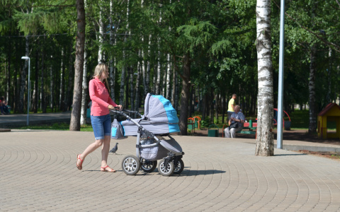 Погода в Саранске 28 июня: осадков не ожидается