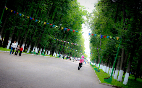 Погода в Саранске 29 июня: будет солнечно