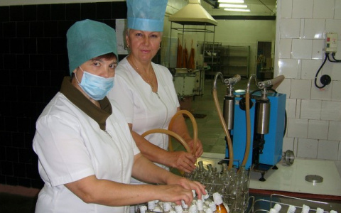 Мордовия оказалась в двадцатке самых «молочных» регионов России