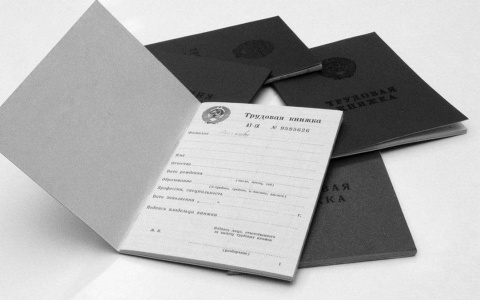 Рынок труда 2017: потепление