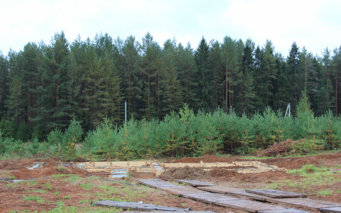 Житель Мордовии отправится в колонию за смертельную драку, которую устроил во время застолья в лесополосе