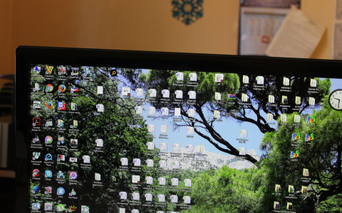 Пенсионер из Саранска стал жертвой интернет-мошенников