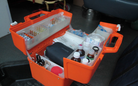 Пассажир выжил после падения под поезд московского метро