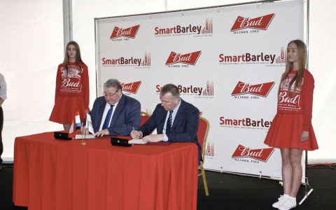 В Мордовии будут производить семена пивоваренного ячменя высшего сорта