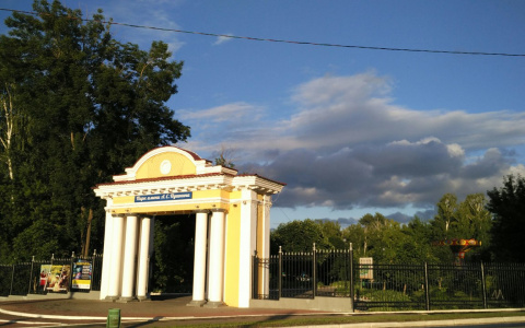 Погода в Саранске 11 июля: будет облачно