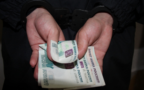 В Мордовии пойманный пьяный водитель пытался откупиться 20 тысячами рулей