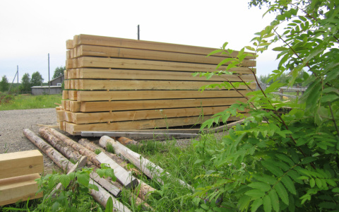 Житель Мордовии обокрал пилораму в надежде улучшить свои надворные постройки