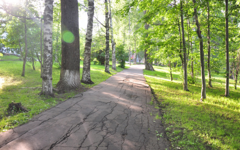 Погода в Саранске 16 июля: будет жарко