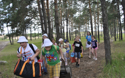 В столовой одного из детских лагерей Мордовии нашли кишечную палочку