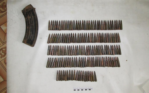 В Мордовии подросток во время купания нашел боеприпасы на дне водоема