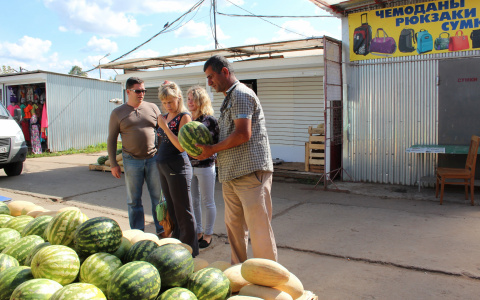 Как не ошибиться при покупке арбузов? Советы мордовских специалистов