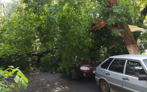 Последствия ночного урагана в Саранске