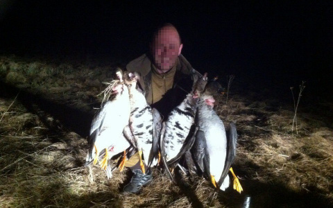 Подчиненный стрелка из Мордовии: «Он всегда был хорошим человеком»