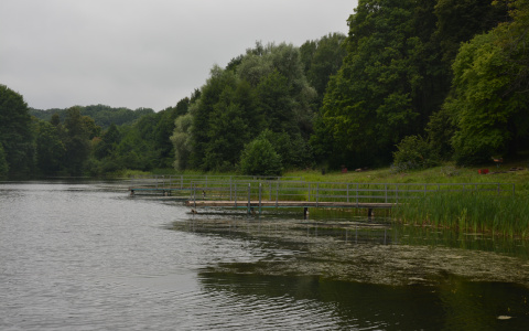 В Саранске на водоеме «Зеленая роща» утонул пьяный мужчина