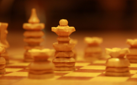 В Мордовии организуют бесплатные занятия шахматами для школьников