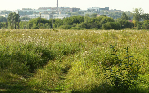 В Мордовии осудили мужчину, который убил свою знакомую и попытался спрятать тело в поле