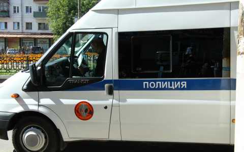 В Мордовии мужчина угнал автомобиль и «улетел» в кювет