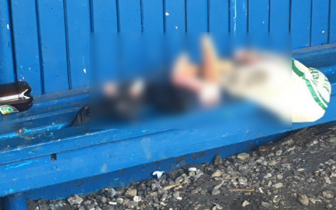 В Саранске на автобусной остановке нашли пакет с игрушками для взрослых