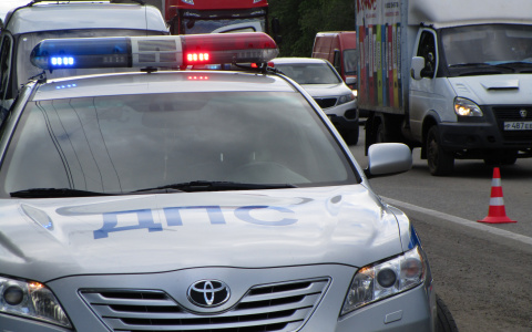 Смертельное ДТП в Мордовии: иномарка опрокинулась в кювет