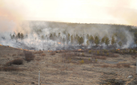 На территории Мордовии прогнозируется высокий класс пожароопасности