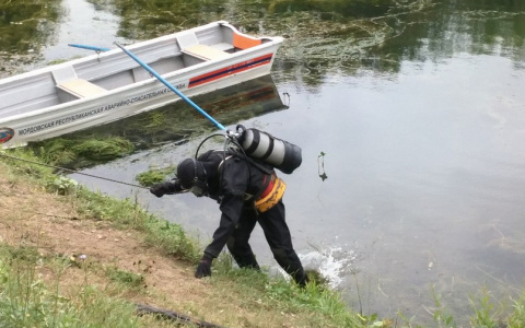 В Саранске на пруду по улице Гончарова утонул пьяный мужчина